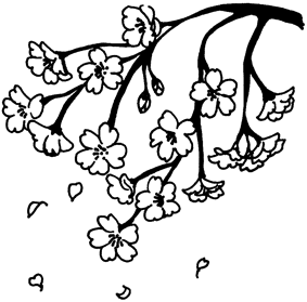 桜のデザイン　