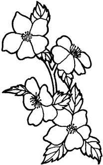 植物・花のデザイン　