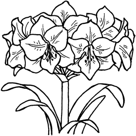 植物・花のデザイン